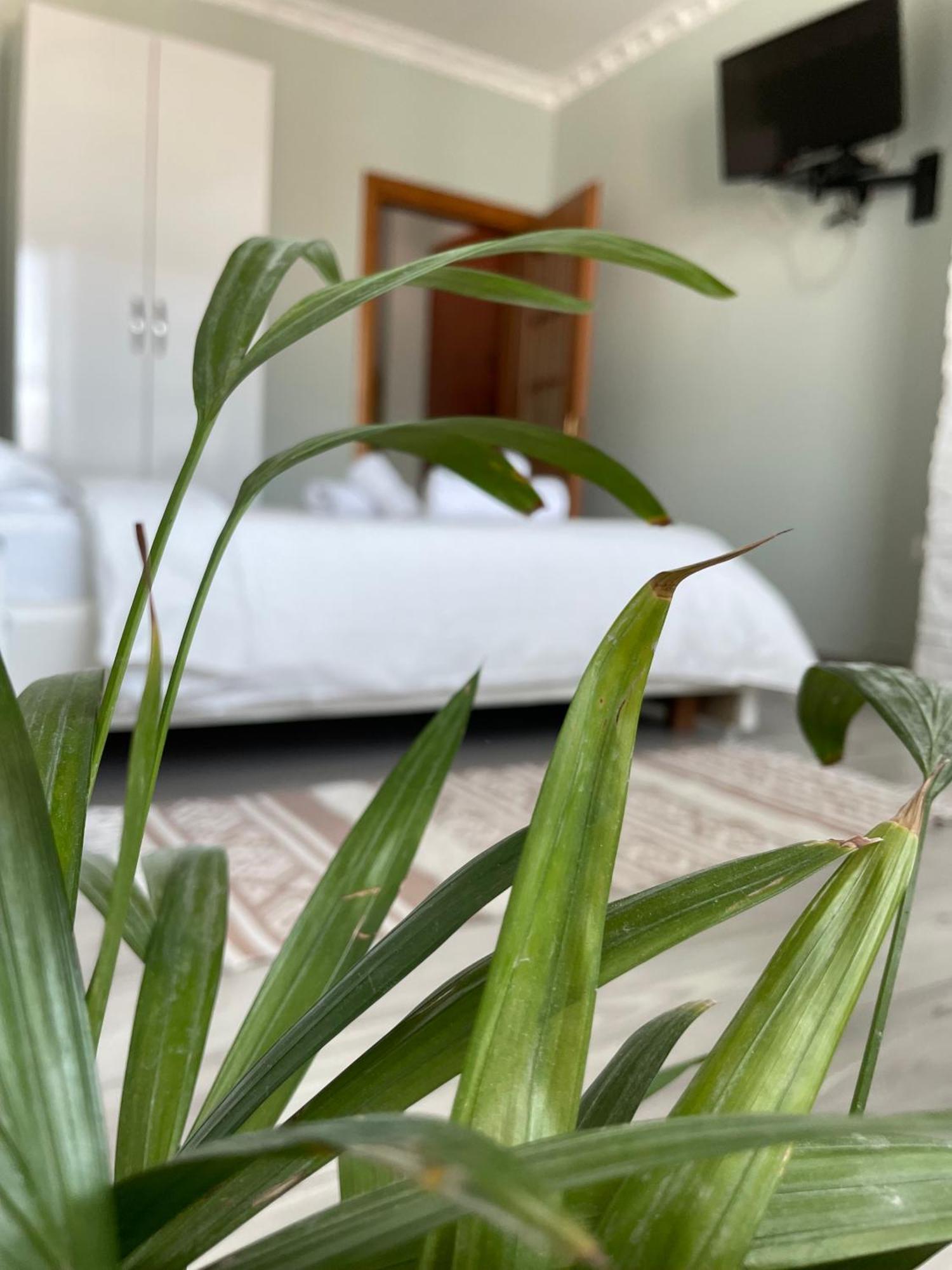 Agroni Rooms Tirana Kültér fotó